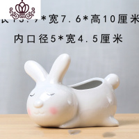 封后欧式多肉花盆创意可爱动物陶瓷花盆简约个性白色小肉肉盆 闭眼母兔不含植物 小