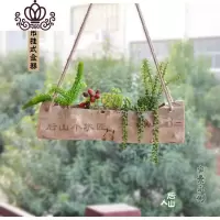 封后(FENGHOU)封后多肉木头花盆原生态树根木石斛长方形创意个性盆景玉坠生石花盆 90cm木槽花盆直径约20花盆容器