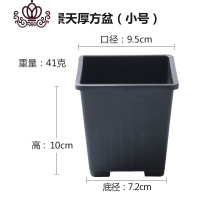封后加厚方盆多肉花盆小黑方盆量贩装彩色方盆植物花盆景天花盆 黑色60个(销售) 小花盆容器
