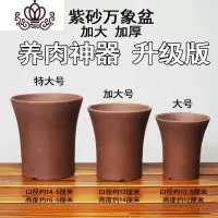封后宜兴紫砂万象盆月季兰花加特大号多肉花盆小老桩盆花器玉露十二卷 万象紫泥大号8个一组 大花盆容器