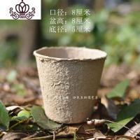 封后纸浆育苗盆育种花盆营养盆培养盆营养钵定植盆一次性营养杯育苗杯 300个() 小