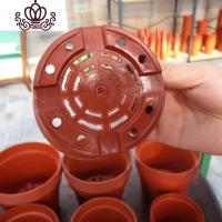 封后优质加厚育苗塑料花盆 家庭苗圃育苗盆 砖红色可重复循环使用 A-160[12个] 中等花盆容器