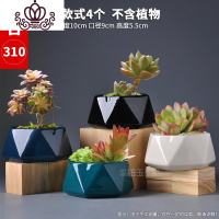 封后多肉花盆几何多边形中小花盆创意个性北欧ins肉肉植物陶瓷盆 款式-1 中等花盆容器
