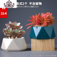 封后多肉花盆几何多边形中小花盆创意个性北欧ins肉肉植物陶瓷盆 款式-5 中等花盆容器