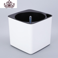 封后正方形树脂白色创意多肉水仙懒人自动吸水塑料大花盆兰花绿萝吊兰 白色特大号无需棉线 特大