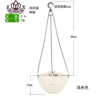 封后爱丽丝壁挂绿箩花盆花盆垂吊悬挂懒人花盆吊篮花盆墙上花盆绿萝 7号浅米色71 中等花盆容器