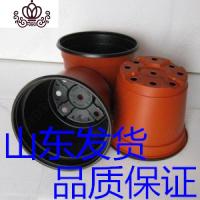 封后塑料加厚双色营养钵加厚育苗苗圃专用耐用整简易特大花盆 外径11cm高9cm三千个 中等