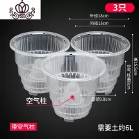 封后美莳透明蝴蝶兰控根花盆透气洋兰专用盆大号塑料树脂家用石斛花盆 [3只][单层盆]口径15cm洋兰盆[带空气柱花盆容器