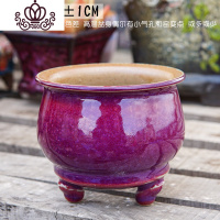 封后(FENGHOU)封后蛙腿白光大中小东云乌木盆粗陶大口透气多肉花盆景德镇手工肉肉盆 [B小]3 中等花盆容器