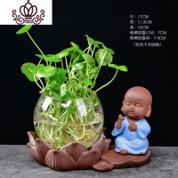 封后(FENGHOU)封后陶瓷水培植物水养植物紫砂花盆绿萝花瓶容器养花多功能花盆器皿 紫砂玻璃水培806 中花盆容器