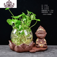 封后(FENGHOU)封后陶瓷水培植物水养植物紫砂花盆绿萝花瓶容器养花多功能花盆器皿 紫砂玻璃水培808 中花盆容器