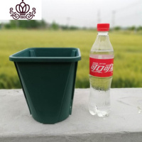 封后国产控根固根塑料树脂多肉花盆月季铁线莲胜加仑盆排水透气 绿色F16(10套含托盆) 中等花盆容器