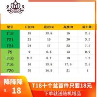 封后(FENGHOU)封后国产控根固根塑料树脂多肉花盆月季铁线莲胜加仑盆排水透气 绿色T18和T21各5个盆 中花盆容器