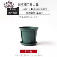 封后日本进口青山盆控根塑料花盆月季铁线莲种植排水透气防烂根加仑盆 15cm进口青山盆带托盘-5个 大