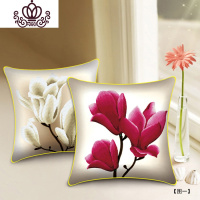 封后(FENGHOU)十字绣抱枕套2019新款线绣情侣一对客厅沙发靠垫枕头套自己绣 [丝线]抱枕1对—43*43cm[含