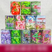 新品易拉罐罐头植物迷你花卉绿植种子办公室室内桌面创意趣味盆栽生活日用园艺用品花卉绿植盆栽
