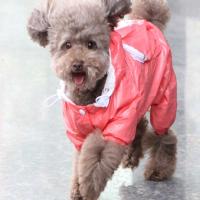 小型犬宠物狗狗雨衣可爱创意泰迪比熊小狗防水宠物雨衣 狗衣服四脚纯色家居家用生活日用宠物狗狗服饰雨衣