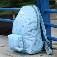 防水可折叠大容量双肩包女户外轻薄便携旅行背包