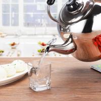 古典不锈钢加厚水壶烧水壶煤气大容量鸣笛天然气电磁炉燃气4L5L6L