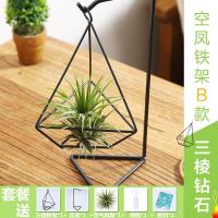 绿植摆件无土植物花卉空气凤梨植物带支架底座室内绿植盆景-三棱钻石铁架B款