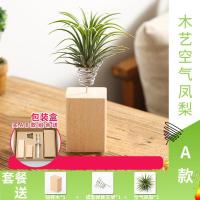室内多肉无土植物花卉空气凤梨植物带支架底座懒人绿植盆景-木艺空气凤梨A款