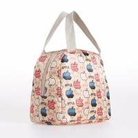 帆布包手提包饭盒包袋外贸手提包袋女包妈咪包小布包