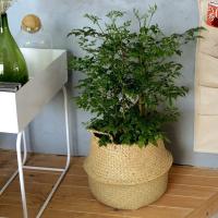 居家北欧海草编织储物篮子简约藤编篮手工装饰双耳折叠收纳篮多色多款多功能生活日用收纳用品时尚创意简约收纳篮