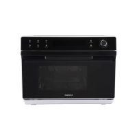 格兰仕电蒸炉SC28T-R90