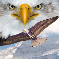 风筝潍坊老鹰动物效果闪电客儿童中国网红易飞微风成人