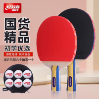 红双喜乒乓球拍双拍儿童小学生初学者兵乓球拍 级单拍