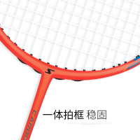 迪科斯羽毛球拍 碳素纤维单双拍套装成人 训练