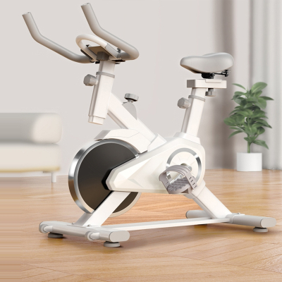 闪电客动感单车家用款小型智能室内健身房同款运动自行车