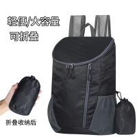 闪电客户外登山包双肩背包男女皮肤包可折叠大容量便携旅行包