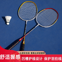 红双喜(DHS)羽毛球拍双拍碳素较轻初学者儿童成人