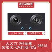老板灶9B515