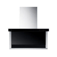 玉立(YULI)近吸式抽油烟机CXW-220-DK30G