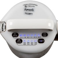 Joyoung/九阳 豆浆机 DJ13B-D81SG 破壁免滤 1.3（升）带米糊 五谷家用 全自动豆浆机