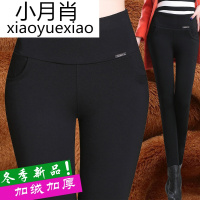 天天特价秋冬打底裤外穿女士加绒长裤大码女裤高腰弹力小脚铅笔裤