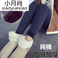 冬款加绒加厚打底裤外穿纯棉弹力棉裤高腰长裤女士显瘦保暖小脚裤