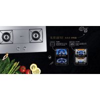 老板燃气灶 JZ(Y/T/R)-9G21