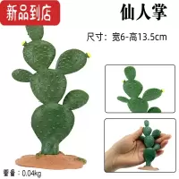 真智力仿真场景大树植物石头模型地台恐龙玩具仙人掌面包树手办塑胶摆件 白色 仙人掌仿真食物