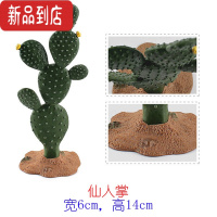 真智力硬塑料猴面包树仿真模型仙人掌沙漠椰子树棕榈树儿童认知场景摆件 6×14cm圆仙人掌仿真食物