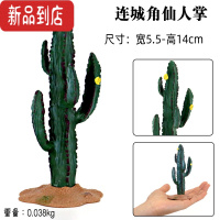 真智力仿真场景大树植物石头模型地台恐龙玩具仙人掌面包树手办塑胶摆件 米白色 连城角仙人掌仿真食物