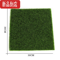 真智力植物仿真草坪草丛配件模型搭配场景DIY动物玩具儿童恐龙 大草坪仿真食物