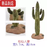 真智力硬塑料猴面包树仿真模型仙人掌沙漠椰子树棕榈树儿童认知场景摆件 5.7×14cm柱仙人掌仿真食物
