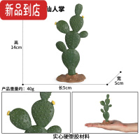 真智力仿真桌面沙盘场景塑胶石头树木树桩模型恐龙动物造景装饰摆件手办 M107圆形瓣仙人掌仿真食物