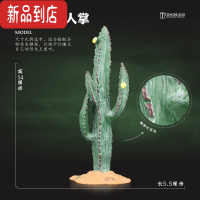 真智力 植物仿真树木草坪草丛配件模型搭配场景DIY恐龙玩具儿童动物 墨西哥仙人掌(高14厘米)仿真食物