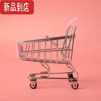 真智力儿童仿真迷你超市购物车过家家玩具车食物摆件金属创意手推车小号 购物车1只(无食物)仿真食物
