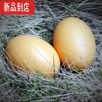 真智力假鸡蛋仿真鸡蛋模型蛋引窝实心塑料木玩具食物鸭蛋假蛋六一儿童节 20个[仿真鸡蛋]-J61仿真食物