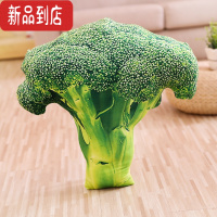 真智力创意仿真大白菜胡萝卜蔬菜抱枕可爱水果毛绒玩具女生睡觉玩偶 西蓝花(约50CM) 尺寸件分类图仿真食物